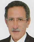 Eng. Mohamed Tarek Tawfik 